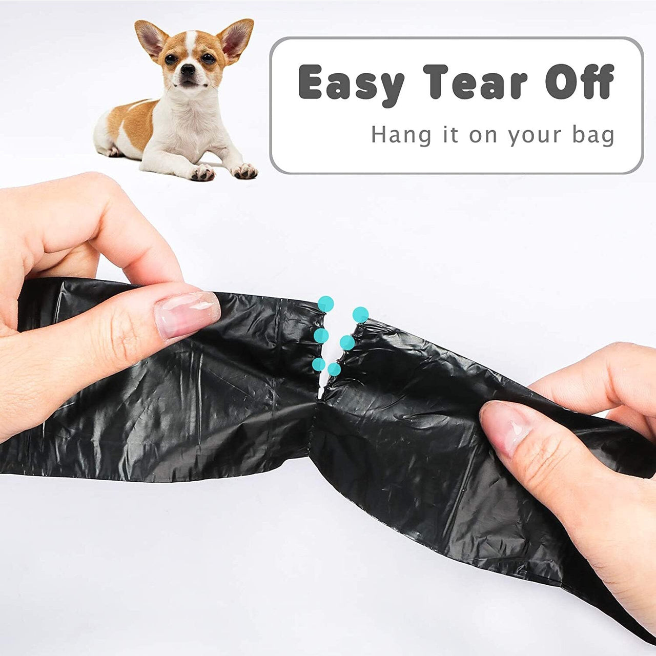 Pet dog poop bags dispenser! - Pet Bags Dispenser - NosCiBe