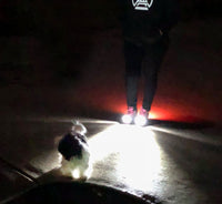Thumbnail for Girl's Night Runner Shoes With LED Lights - High Beam - NosCiBe