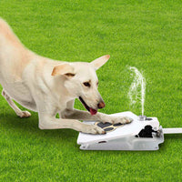Thumbnail for Dog Water Fountain Outdoor Dog Pet Water Dispenser Step-on Activated Sprinkler - NosCiBe