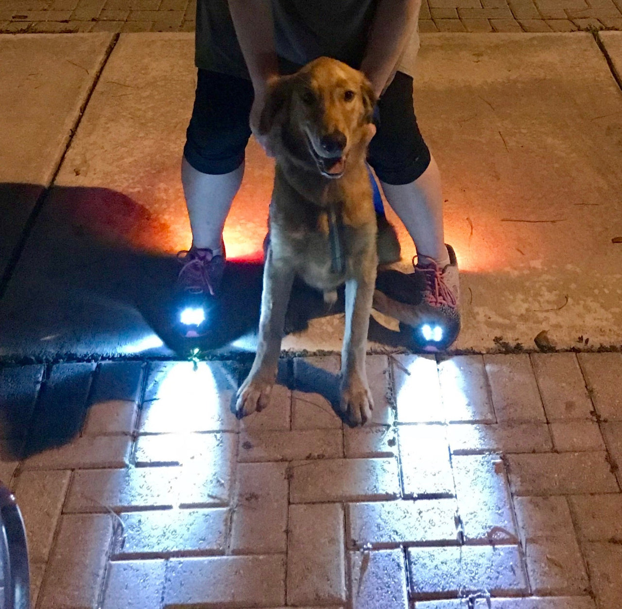 Girl's Night Runner Shoes With LED Lights - High Beam - NosCiBe